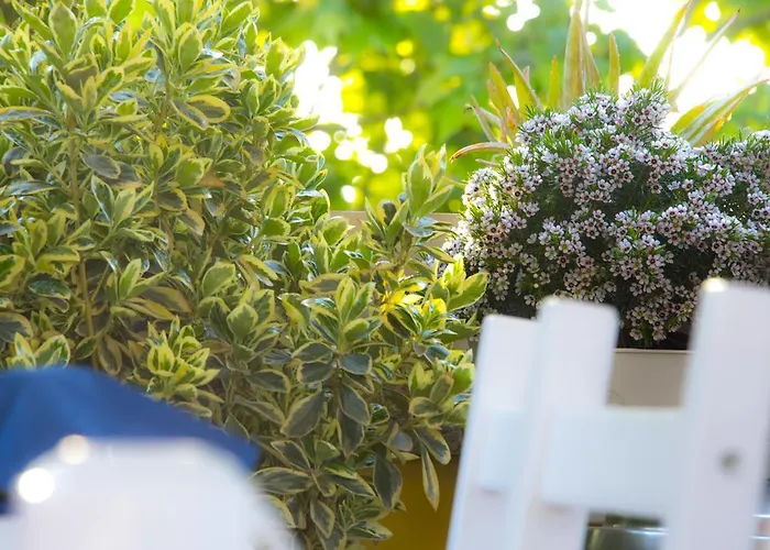 Casa Martini B&B 로마