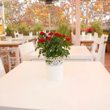 Oda ve Kahvaltı Casa Martini 4*