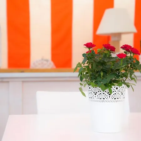 Oda ve Kahvaltı Casa Martini 4*