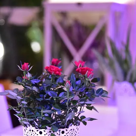 Casa Martini Couette-café