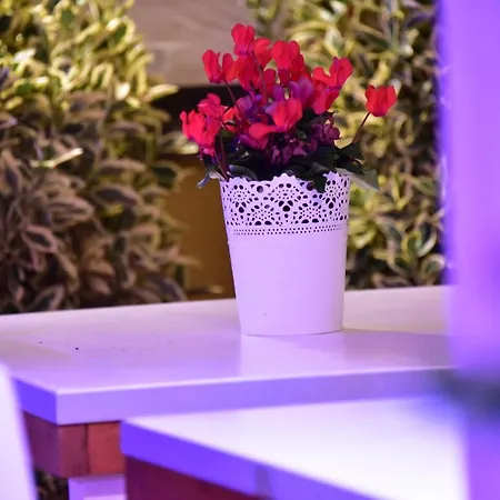 Casa Martini Oda ve Kahvaltı