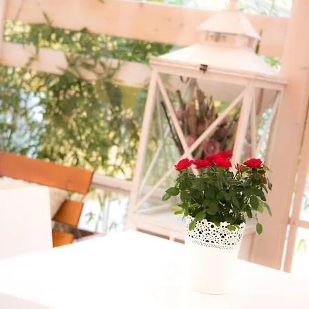 Oda ve Kahvaltı Casa Martini Roma