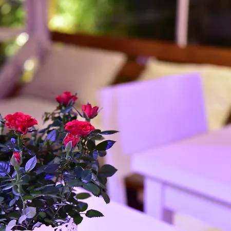 Casa Martini Oda ve Kahvaltı