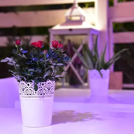 Casa Martini Рим