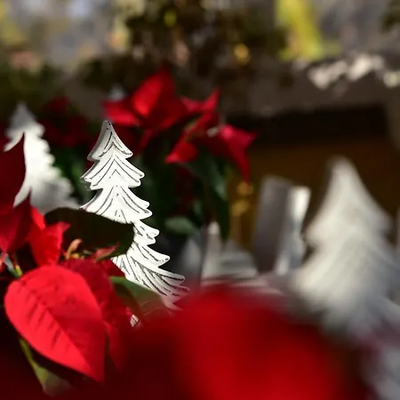 Casa Martini 4* Roma