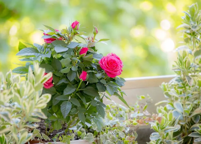 Casa Martini 4* 로마