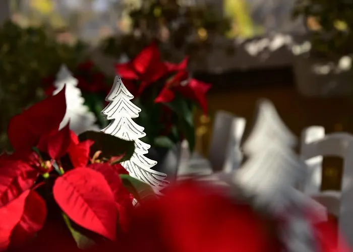 Casa Martini 4* 로마