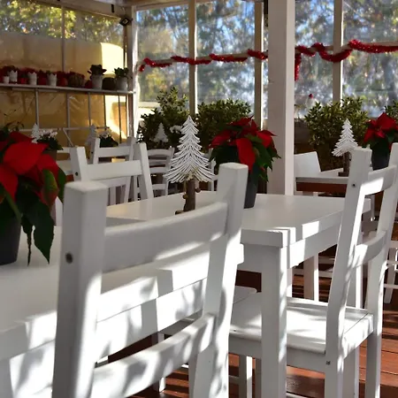 Casa Martini Bed and breakfast Roma