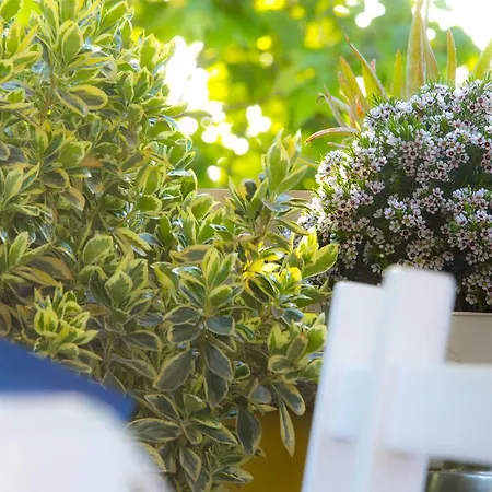 Casa Martini Bed and breakfast Roma