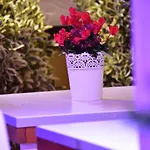 Casa Martini Bed & Breakfast